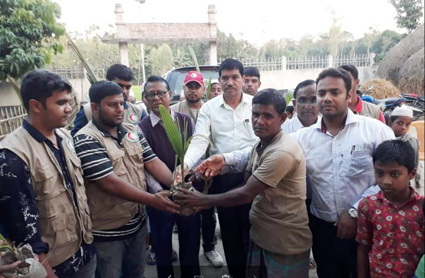 Kurigram Plum Tree Plantation photo-(2) 15.11.19