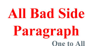 All Bad Side Paragraph | One to All