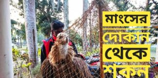মাংসের দোকান থেকে শকুন উদ্ধার