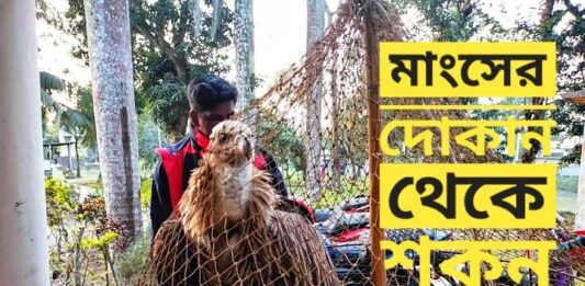 মাংসের দোকান থেকে শকুন উদ্ধার