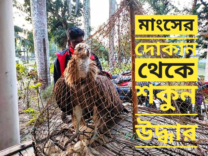 মাংসের দোকান থেকে শকুন উদ্ধার