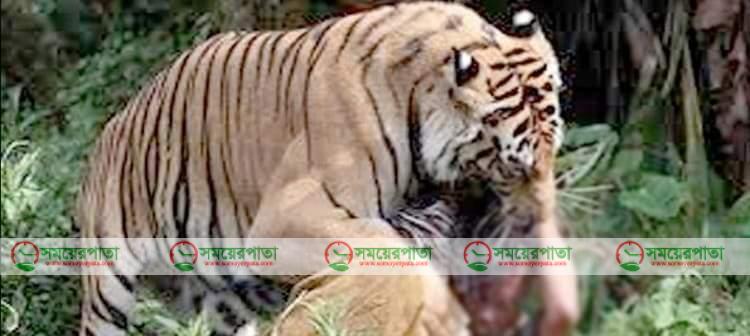 received_2862144140740209