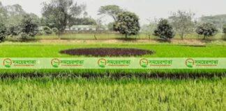 ঝিনাইগাতীতে জাতীয় পতাকা