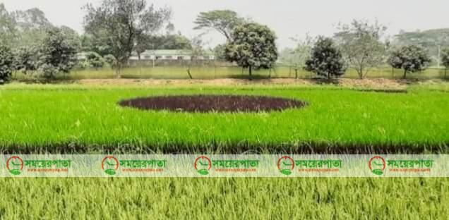 ঝিনাইগাতীতে জাতীয় পতাকা