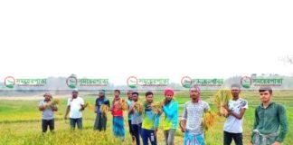 রাঙ্গামাটির লংগদুতে সুজন-প্রকাশের নির্দেশে রোজা রেখে ধান কাটছে ছাত্রলীগ