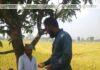 মান্দায় ব্যক্তি উদ্যোগে ধানকাটা শ্রমিকদের মাঝে খাদ্য সামগ্রী বিতরণ