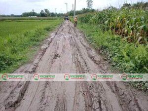 কুচলীবাড়ি ইউনিয়নের রাস্তার বেহালদশা