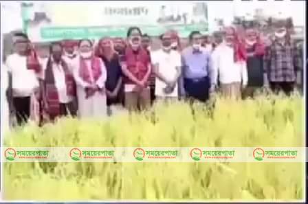 পটুয়াখালীতে কৃষক'লীগের উদ্দেগে পালিত হচ্ছে ধানকাটা কর্মসূচি।