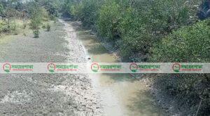 সাগরে ৬৫ দিন মাছ ধরা বন্ধ থাকলেও ধরা যাবে সুন্দরবনের নদী-খালে