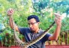 চট্রগ্রামের ভাটিয়ারীতে নালায় পাঁচ ফুট লম্বা অজগর উদ্ধারের পর চিড়িয়াখানায় হস্তান্তর
