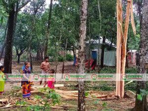 গাজীপুরে বজ্রপাতে ক্ষয় খতি।
