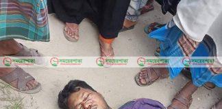 ময়মনসিংহের গফরগাঁওয়ে বালুবাহী ট্রাকের চাপায় পথচারী দুই কৃষক নিহত