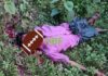 রাজস্থলী নারানগিরি ও মিতিয়াছড়িতে জেএসএস সন্তু, এবং এমএলপি সন্ত্রাসীদের মধ্যে গুলি বিনিময়