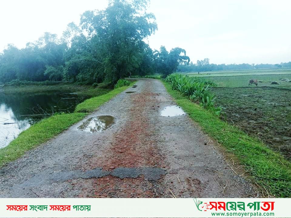 পাটগ্রাম উপজেলা কুচলীবাড়ি রাস্তার বেহালদশা