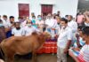 রাণীনগরে আশ্রয়ন প্রকল্পের বাসিন্দাদের মাঝে কোরবানীর গরু উপহার দিলেন এমপি হেলাল
