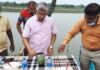 ডুমুরিয়ায় ঘেরের বেড়ীতে অফসিজন তরমুজ চাষ