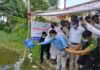 আত্রাইয়ে মাছের পোনা অবমুক্ত করণ আত্রাইয়ে মাছের পোনা অবমুক্ত করণ