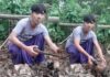 কবর খুঁড়ে কঙ্কাল চুরি করে নিয়ে যাওয়ার সময় যুবক আটক। 