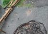 রাস্তা তো নয়, যেন মরণ ফাঁদ রাস্তা তো নয়, যেন মরণ ফাঁদ