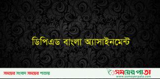 ডিপিএড বাংলা অ্যাসাইমেন্ট