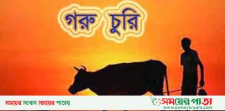 যুবলীগ নেতার খামার থেকে গরু চুরি