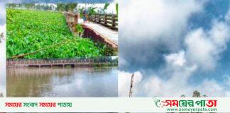 কচুরিপানা অপসরণ না করায় হুমকির মুখে কালভার্ট ব্রীজ