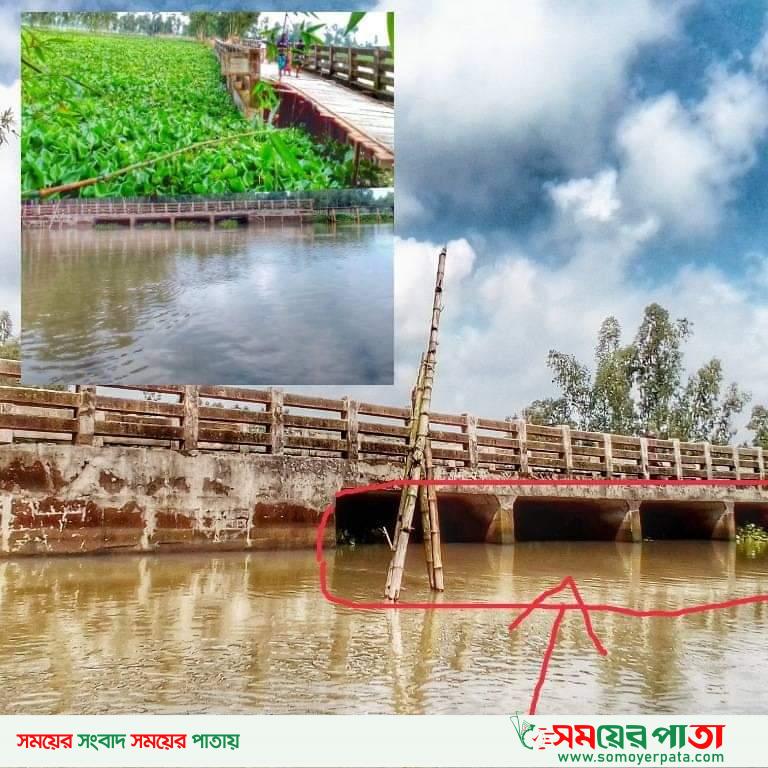 কচুরিপানা অপসরণ না করায় হুমকির মুখে কালভার্ট ব্রীজ