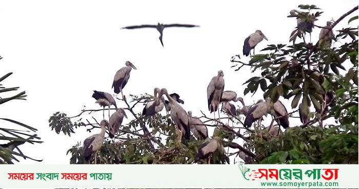 01-নওগা-2110100538