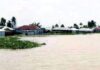 লালমনিরহাটে হঠাৎ বন্যায় বিপর্যয় তিস্তা পাড়ের জনজীবন