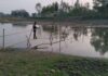 এক বাঁশের সাঁকো ৩ হাজার মানুষর ভরসা