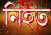 নড়াইলের লোহাগড়ায় সড়ক দুর্ঘটনায় মামুন কাজী নিহত