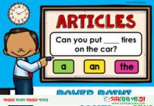Article