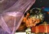 অবশেষে ঘর পেলো সেই বৃদ্ধা