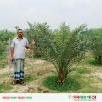 Raninagar Dates Garden pic-02-04-2023(4)