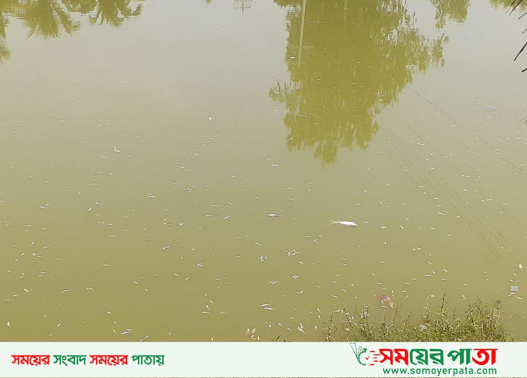 Naogaon Raninagar Pic-10-06-2025-(1)