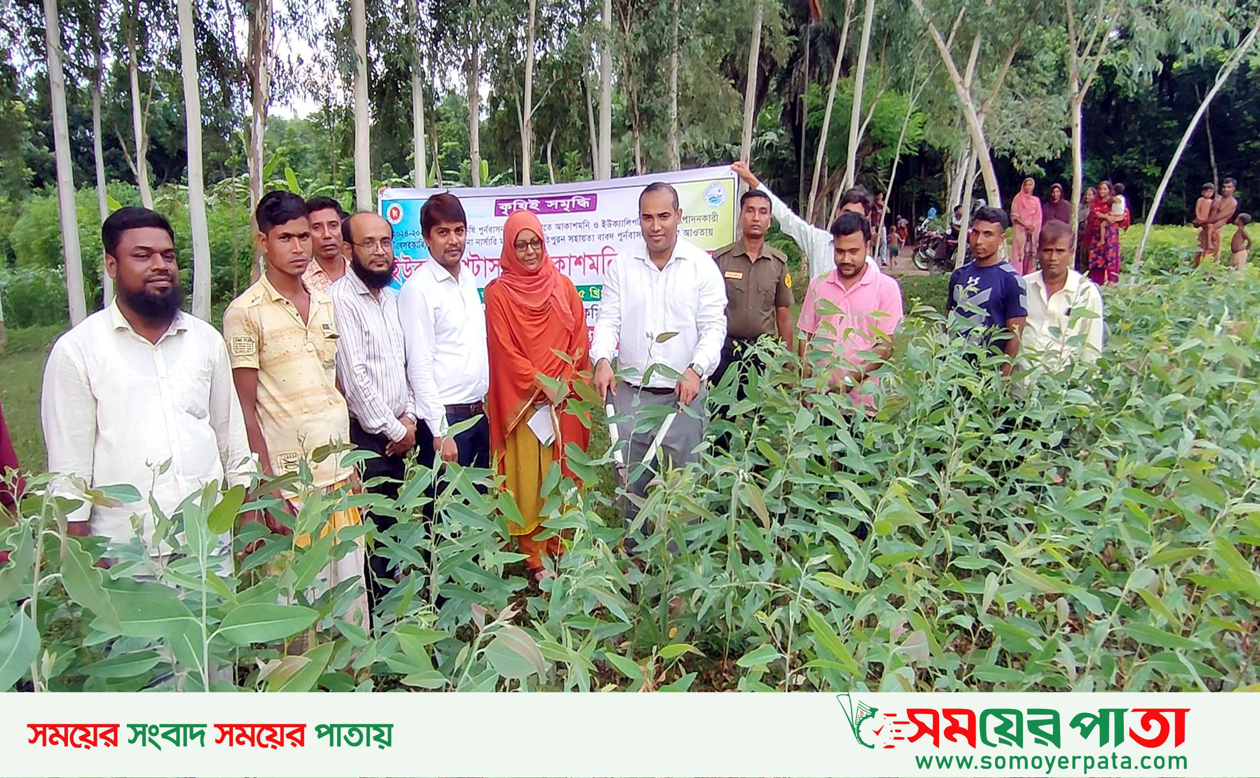 Naogaon Raninagar Pic-03-07-2025-(1)