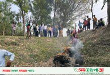 রাণীনগরে অর্ধলক্ষাধিক টাকা মূল্যের অবৈধ রিং জাল পুড়ে বিনষ্ট, মৎস্য অভয়াশ্রম ঘোষণা করলেন ইউএনও