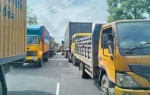news_1787976230893