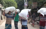 রৌমারীতে সার বিতরণ