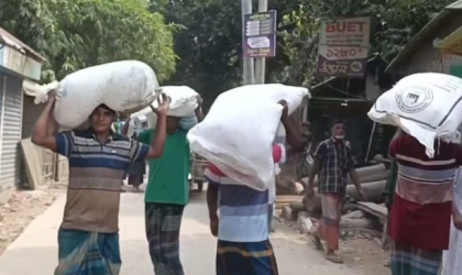 রৌমারীতে সার বিতরণ