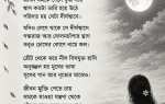 Moonlit Bengali Poetry by the Lake